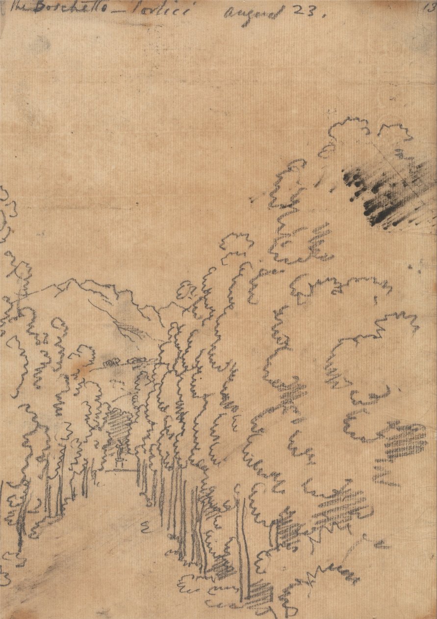 The Grove，Portici，8月23日 作者 约翰·罗伯特·科森斯