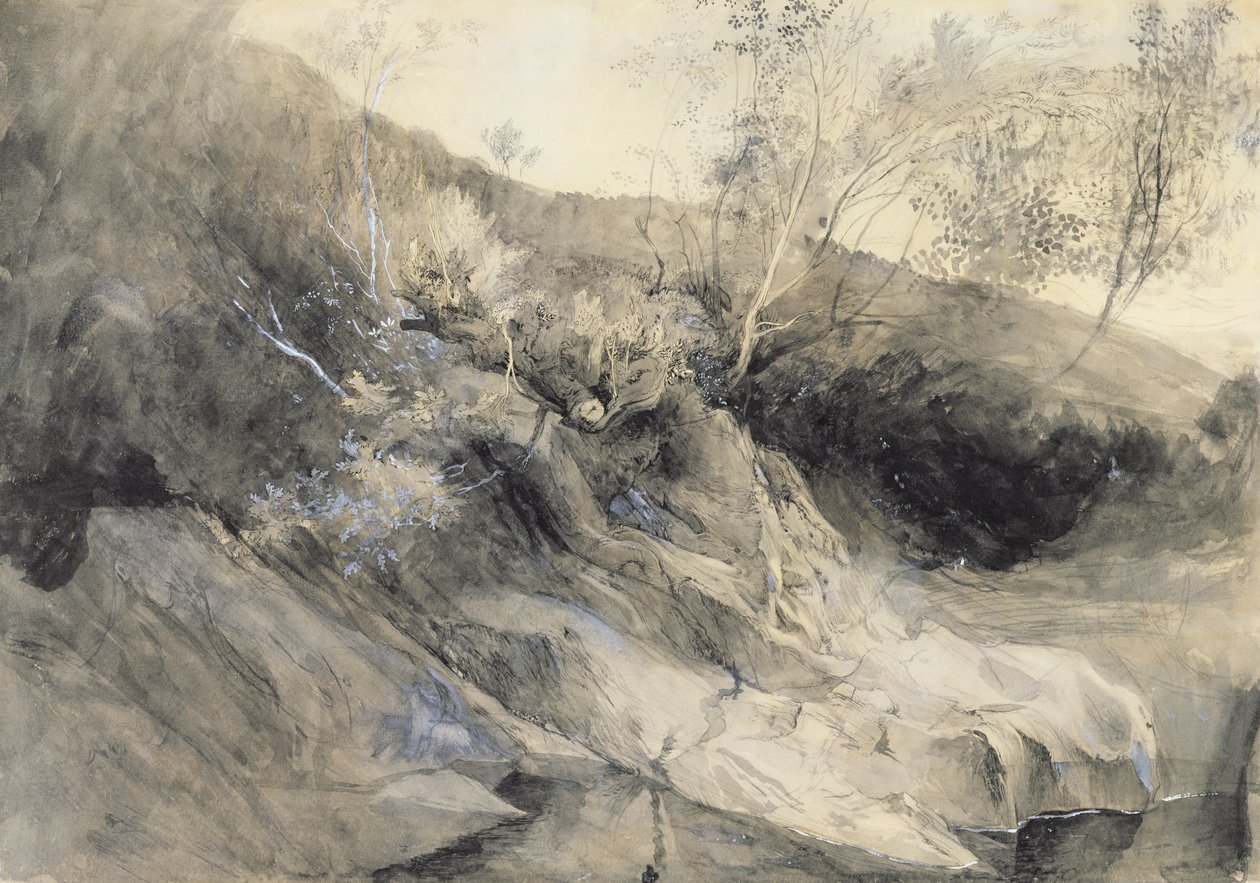 河岸的岩石 -  Verso：叶子的草图，c.1853（在纸上用石墨和墨水清洗） 作者 约翰·拉斯金