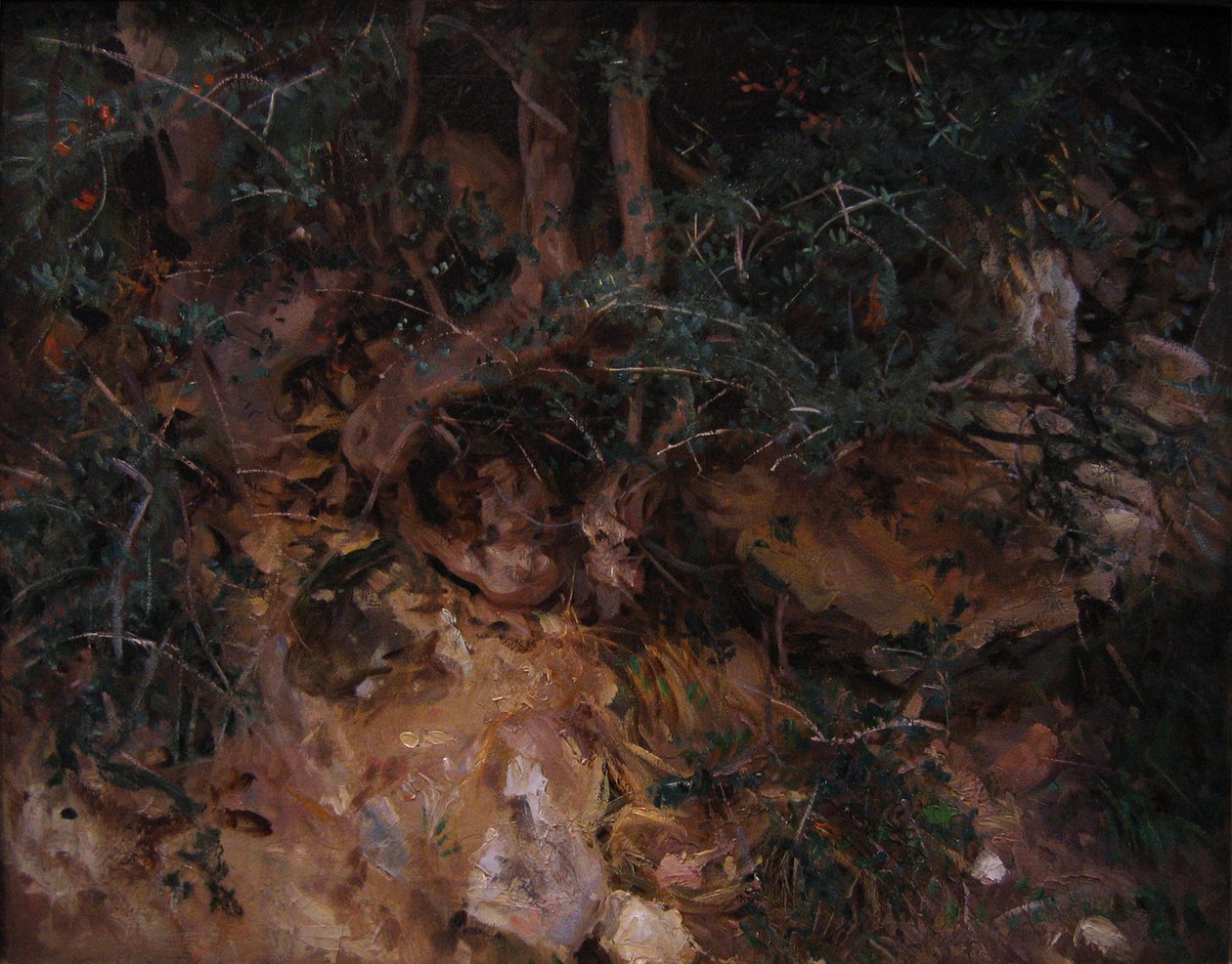 Valdemosa，马略卡岛：在山坡上的蓟和牧草 作者 约翰·辛格·萨金特