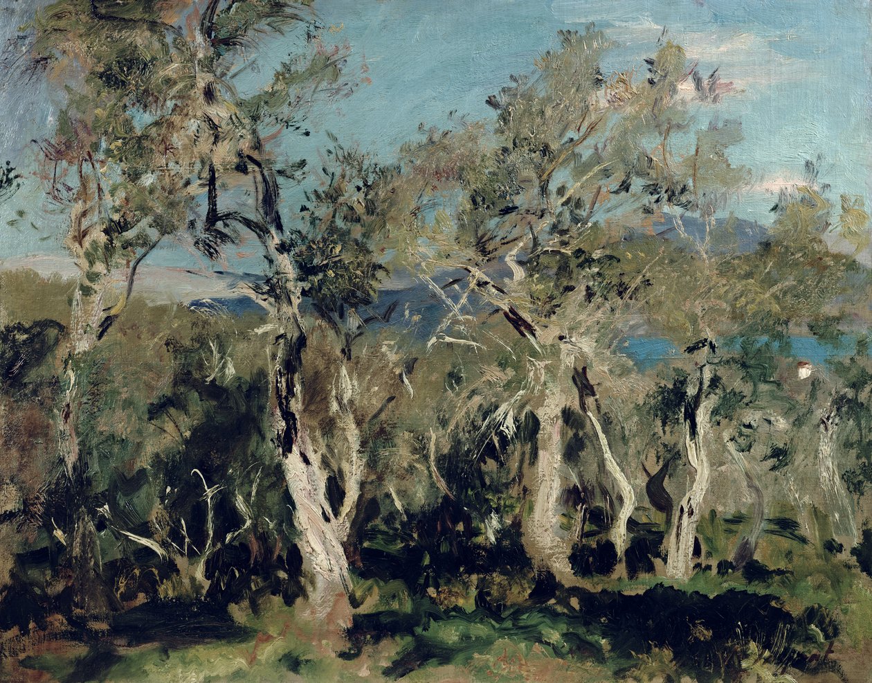 橄榄，科孚岛，1912年 作者 约翰·辛格·萨金特