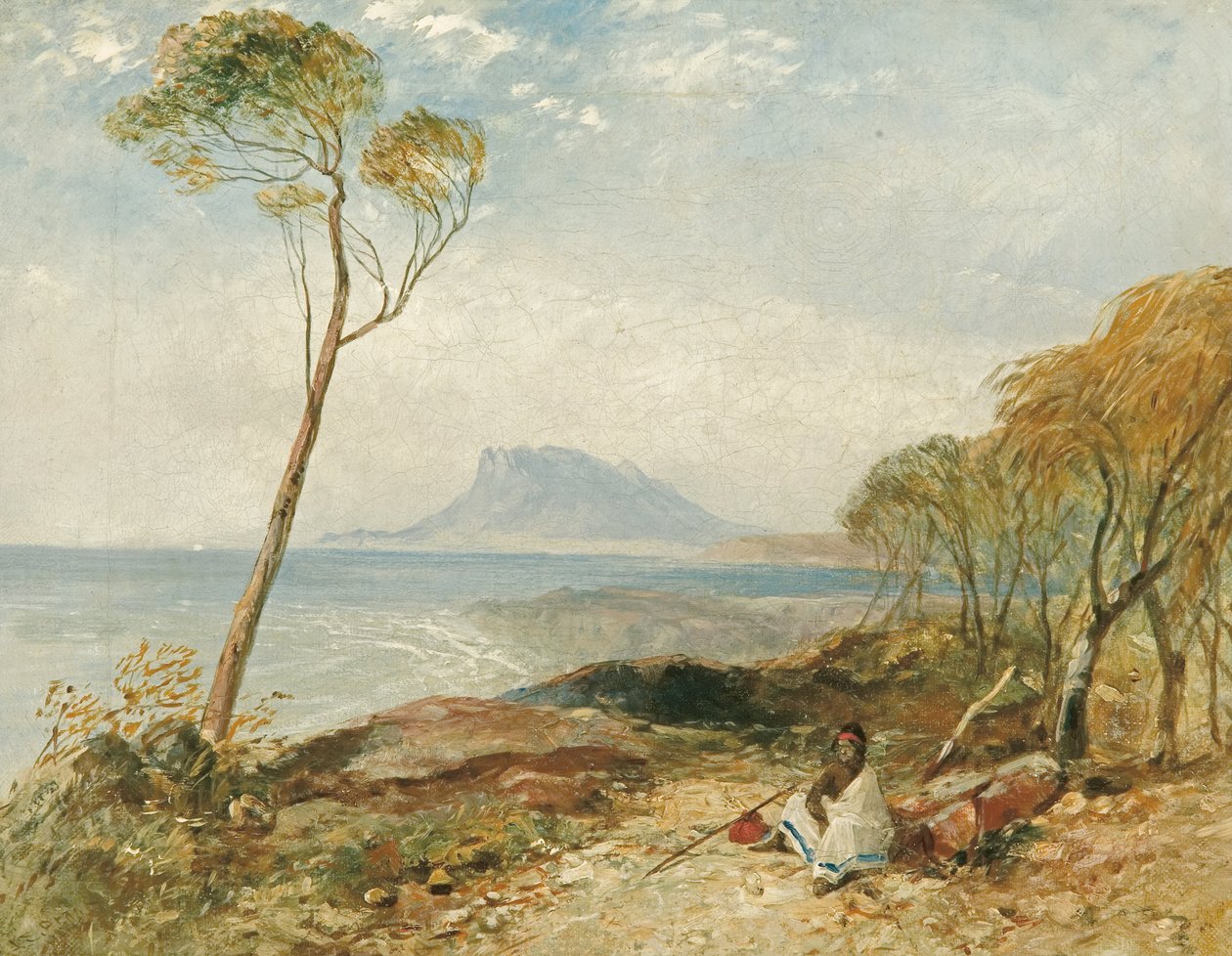 来自Little Swanport的Maria Island，Van Diemens Land 作者 约翰·斯金纳·普鲁特