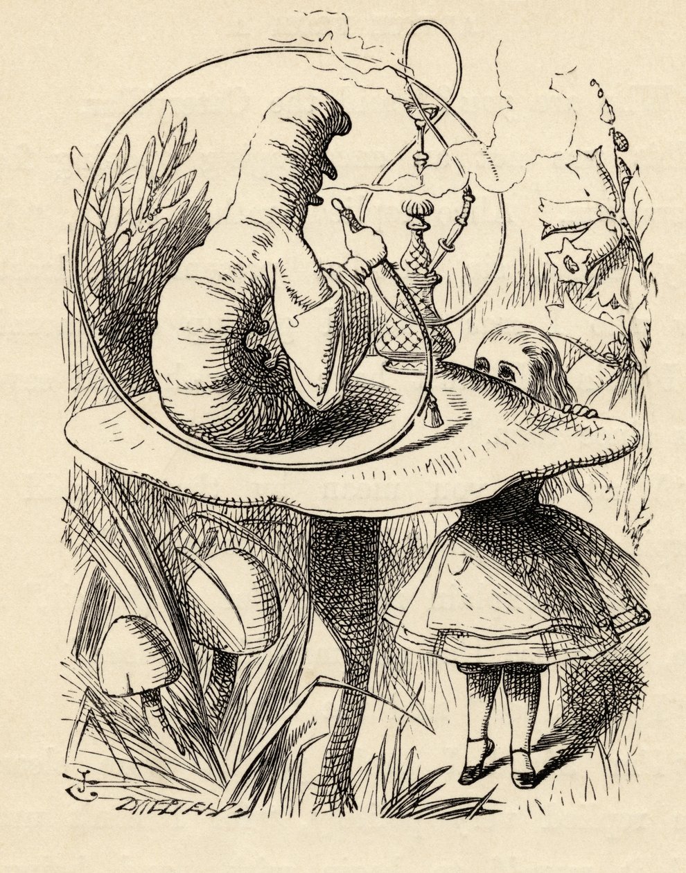 来自卡特彼勒的建议，来自刘易斯卡罗尔的“爱丽丝梦游仙境”，于1891年出版 作者 约翰·坦尼尔