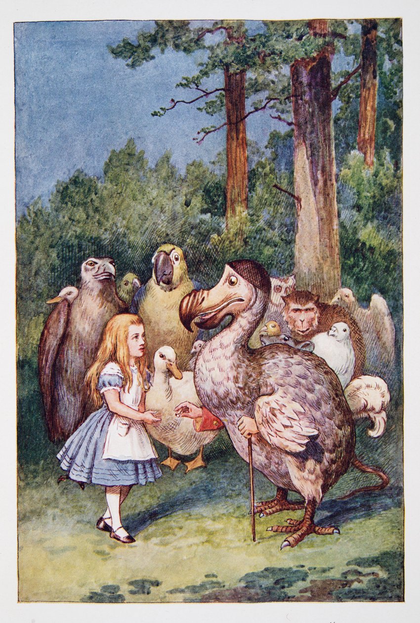 爱丽丝遇见渡渡鸟，来自Alices Adventures In Wonderland，透过镜子和爱丽丝在那里找到的东西，作者Lewis Carroll（1832  -  98），1911年出版（彩色石版画） 作者 约翰·坦尼尔