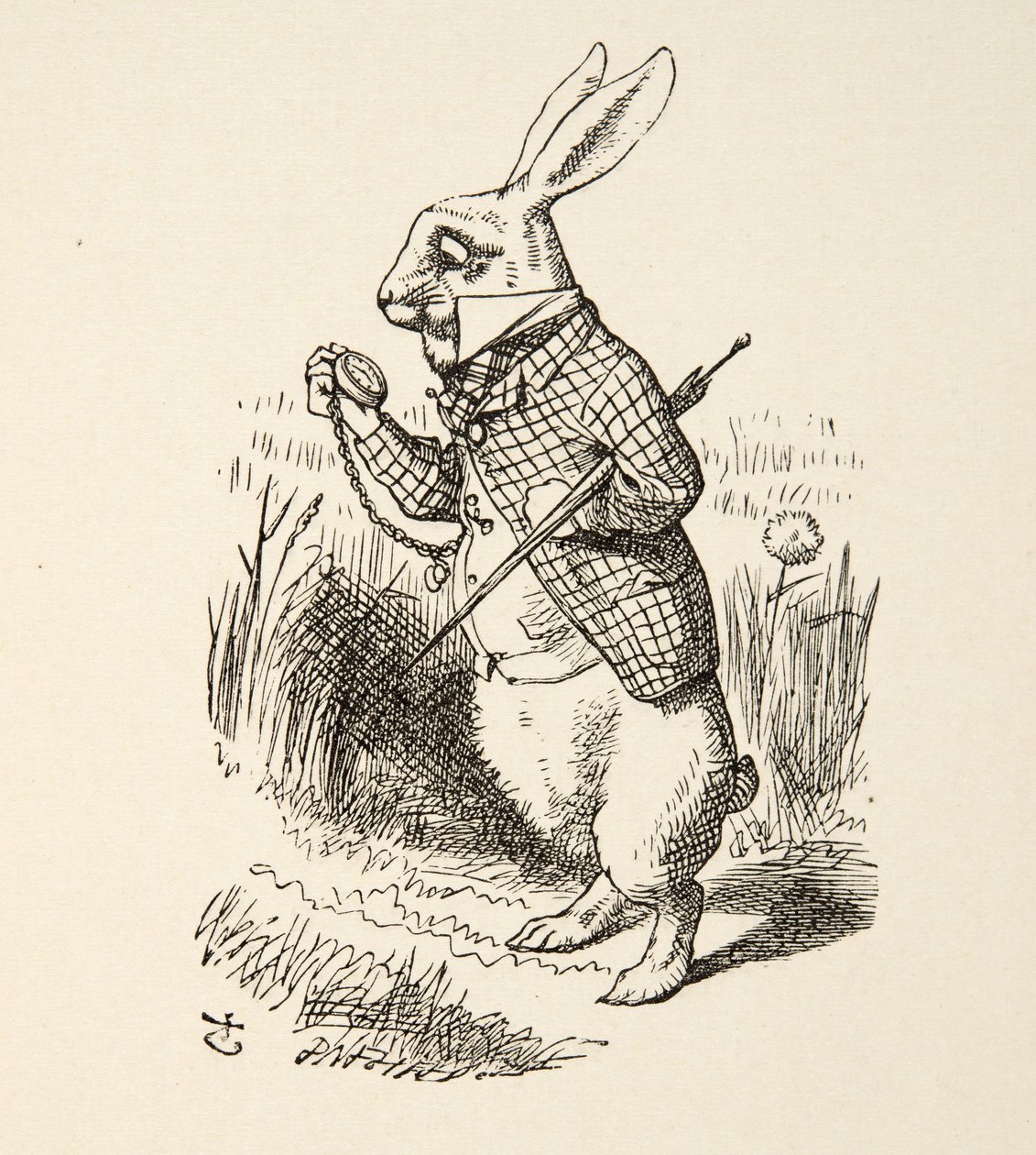The White Rabbit，来自Alices Adventures in Wonderland，来自Lewis Carroll（1832  -  98），酒吧。 1891年 作者 约翰·坦尼尔