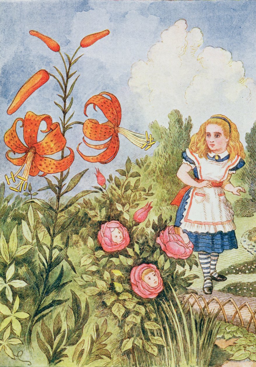 来自Lewis Carroll的“穿越镜子”的虎百合（1832-98） 作者 约翰·坦尼尔