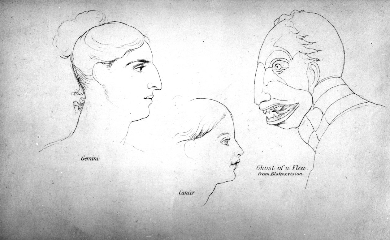 布莱克的愿景中的“跳蚤的幽灵”，1828年出版的John Varley的“Zodiacal Physiognomy”插图，John Linnell的印刷品 作者 约翰·瓦利