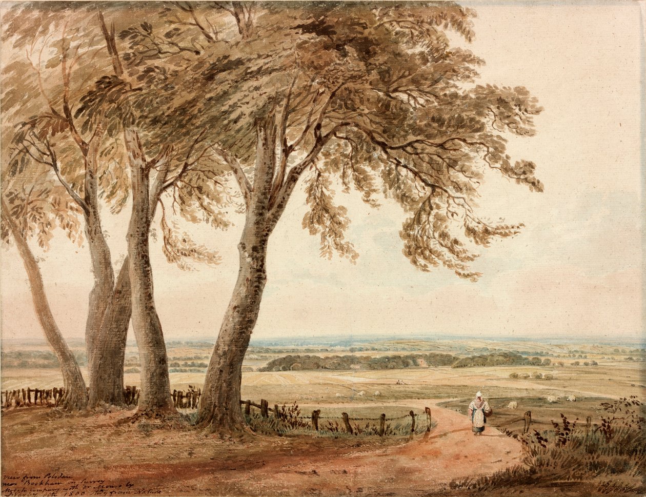 查看从Polesden，萨里，1800 作者 约翰·瓦利