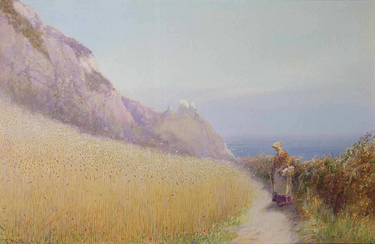 在Sidmouth，德文郡附近的玉米田 作者 约翰怀特
