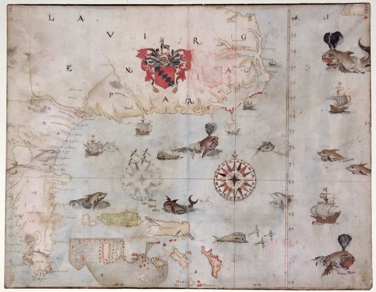北美洲东部地图：佛罗里达州到切萨皮克湾（石版画） 作者 约翰怀特