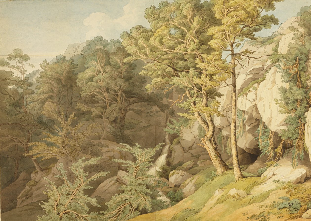 Canonteign，Devon，1804（笔墨和纸上的wc） 作者 约翰·怀特·雅培