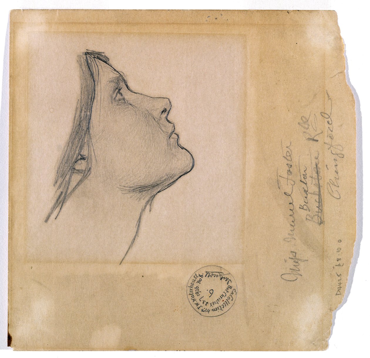 研究&39;Lamia&39;，c.1904-05 作者 约翰·威廉姆·沃特豪斯