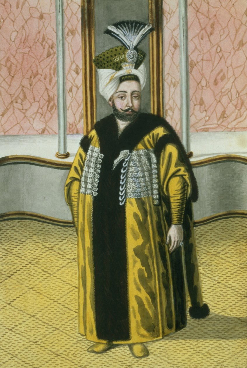 Mustapha IV（1779-1808）Sultan 1807-8，来自“土耳其皇帝画像系列”，1808年 作者 约翰·杨