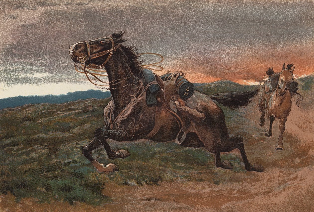  作者 约翰（后）查尔顿