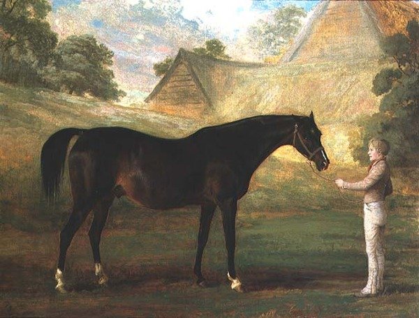 狐狸精，一匹海湾纯种马 作者 John (attr. To) Boultbee