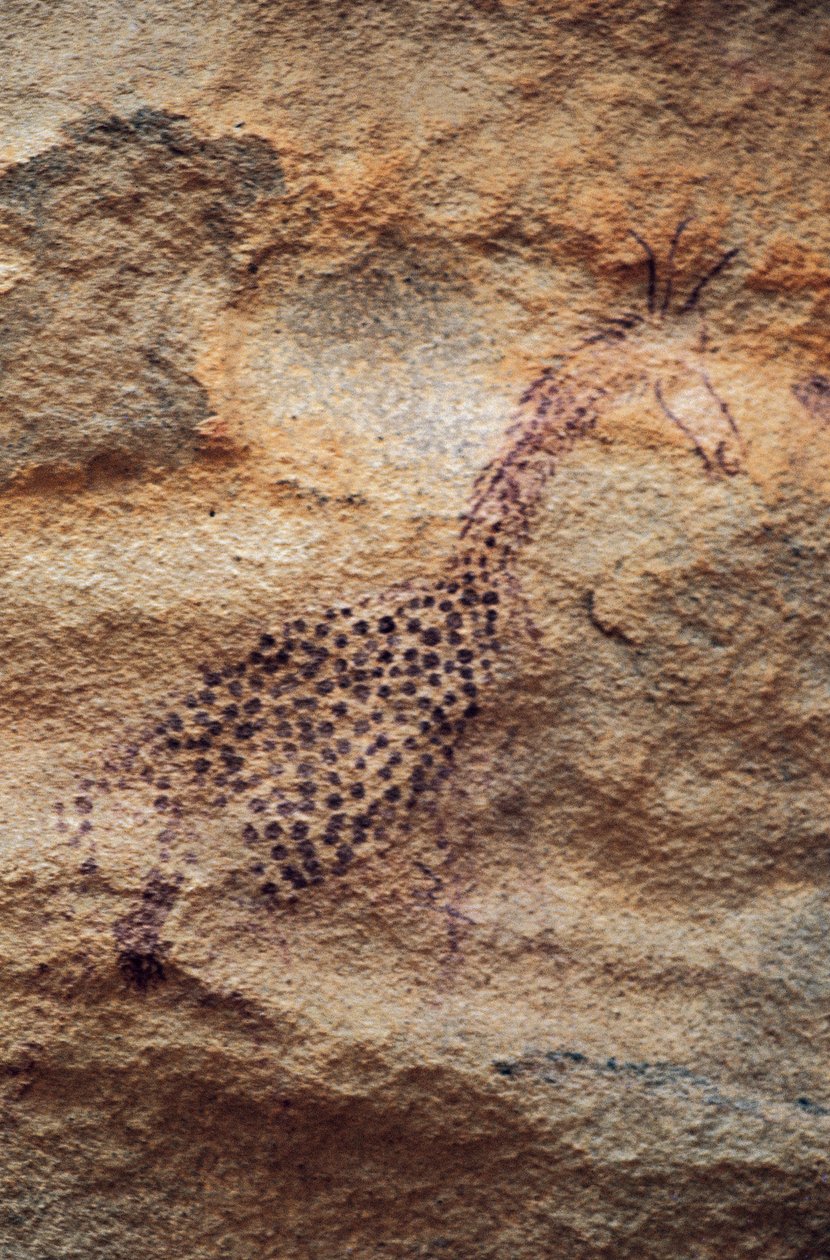 长颈鹿，洞穴壁画，牧业时期（公元前4000-2500年），Tassili n
