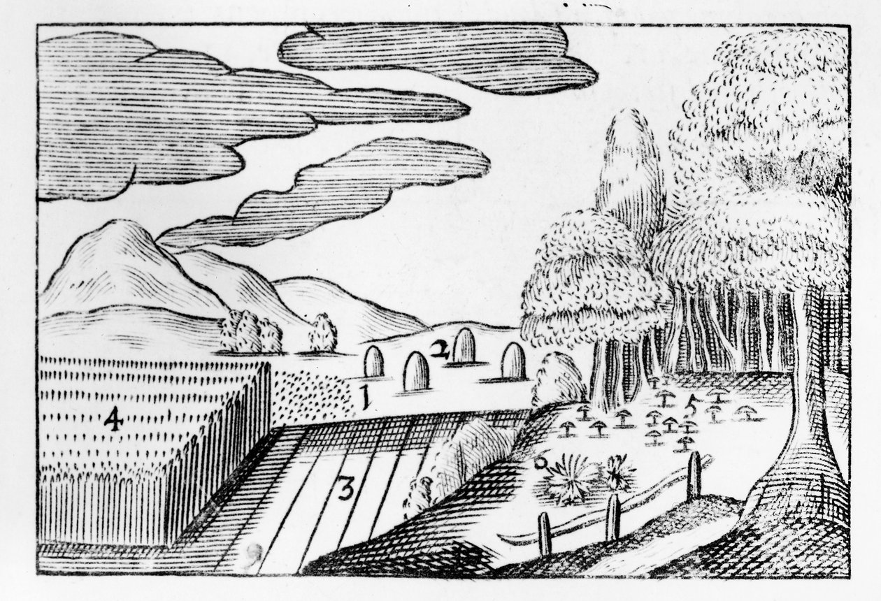 地球的果实，1658年 作者 约翰·阿莫斯·科门纽斯