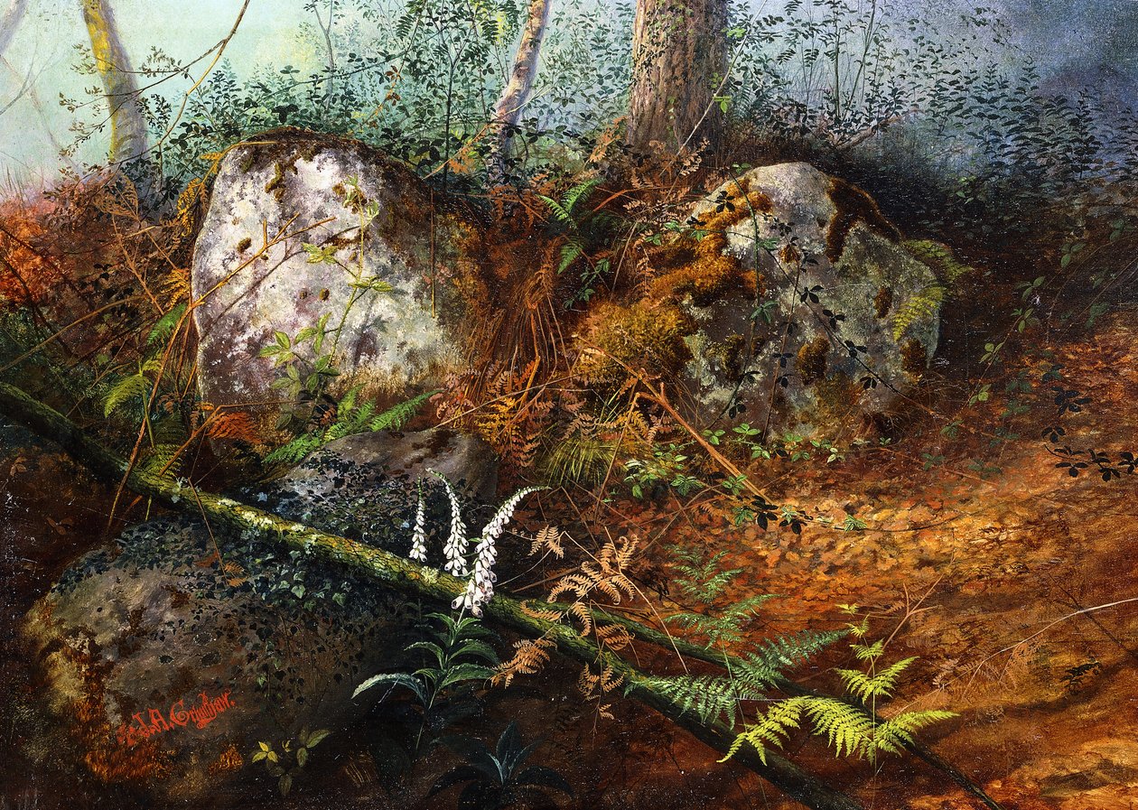 纽莱伍德（Newlay Wood），1861年 作者 约翰·阿特金森·格里姆肖
