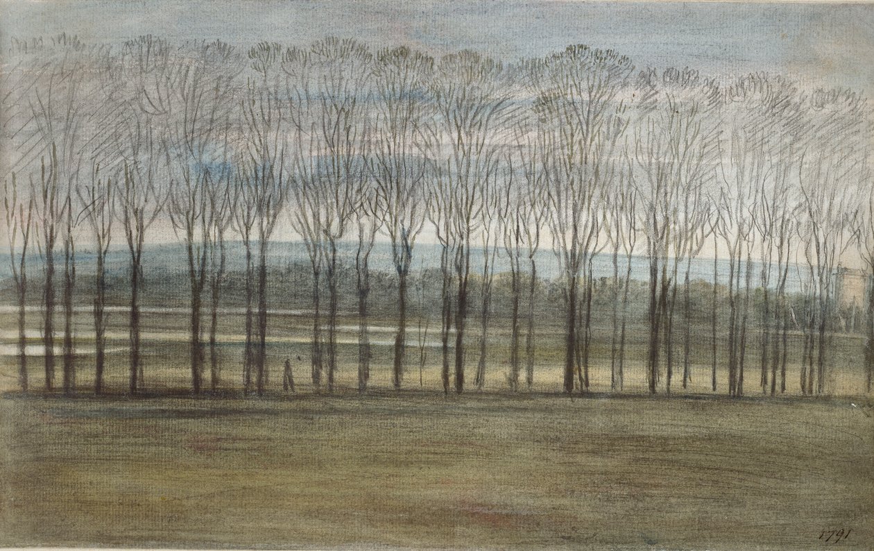 来自默顿学院的风景，1791年2月28日 作者 约翰·浸信会