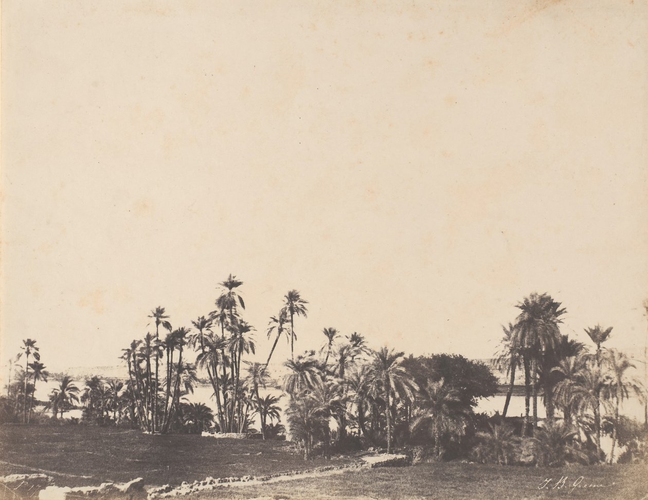 棕榈树研究，尼罗河岸边，卡拉布奇，1853-54年。 作者 约翰·比斯利·格林