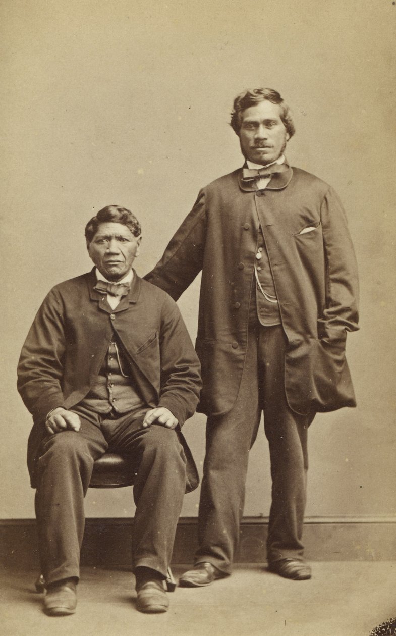 Takerei和Hapimana，c.1863（蛋白印刷品） 作者 约翰·比蒂