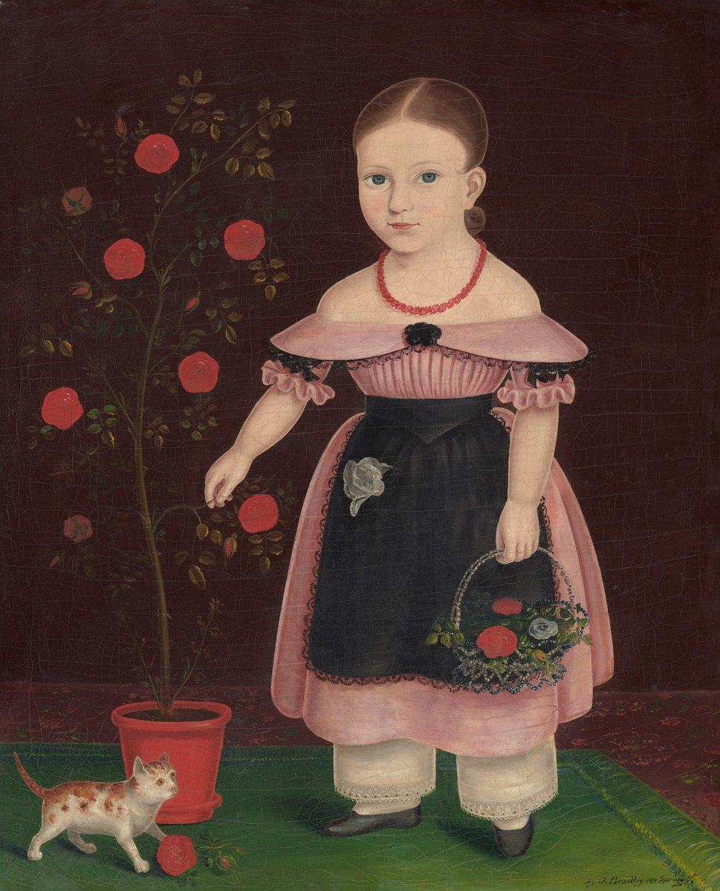  作者 约翰·布拉德利