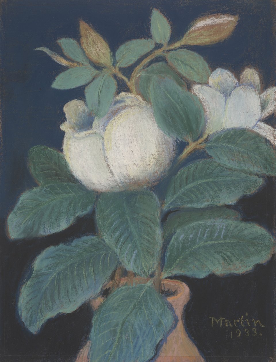 玉兰花，1933年 作者 约翰·布雷金里奇·马丁