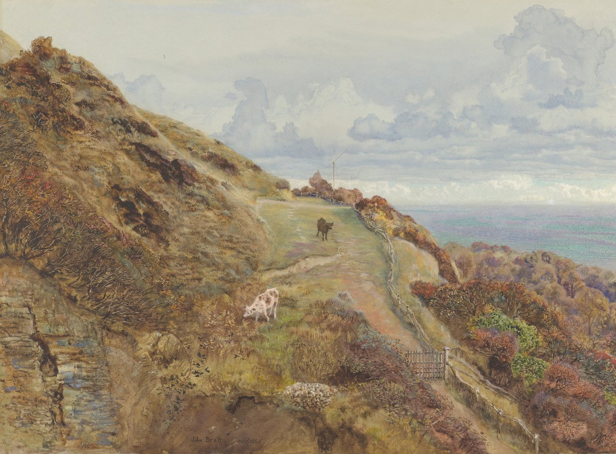 Bonchurch Downs, 1865年。 作者 约翰·布雷特