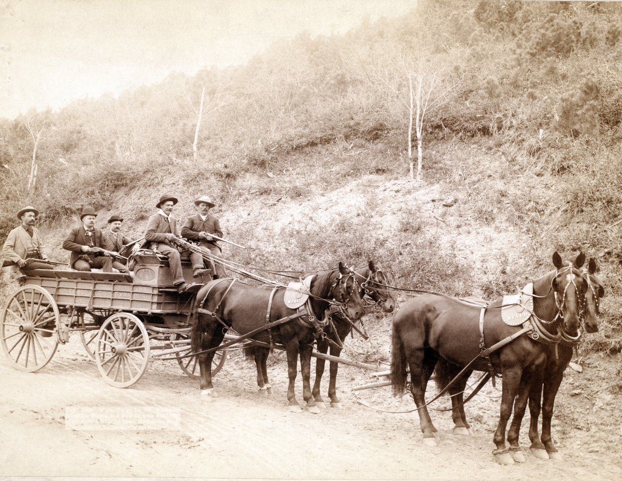 Wells Fargo Express，1890 作者 约翰·CH·格拉比尔