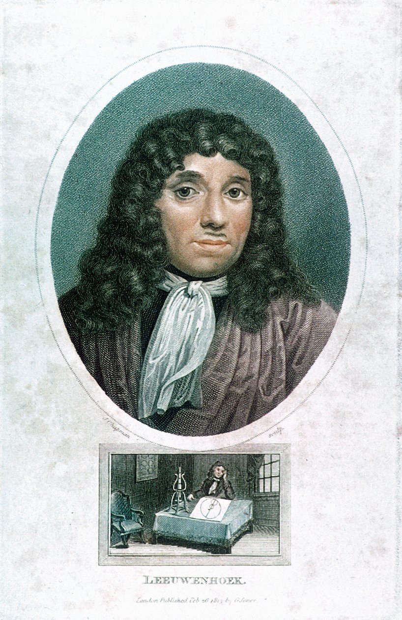 Anton van Leeuwenhoek 1632-1723，荷兰显微学家，c1810 作者 约翰·查普曼