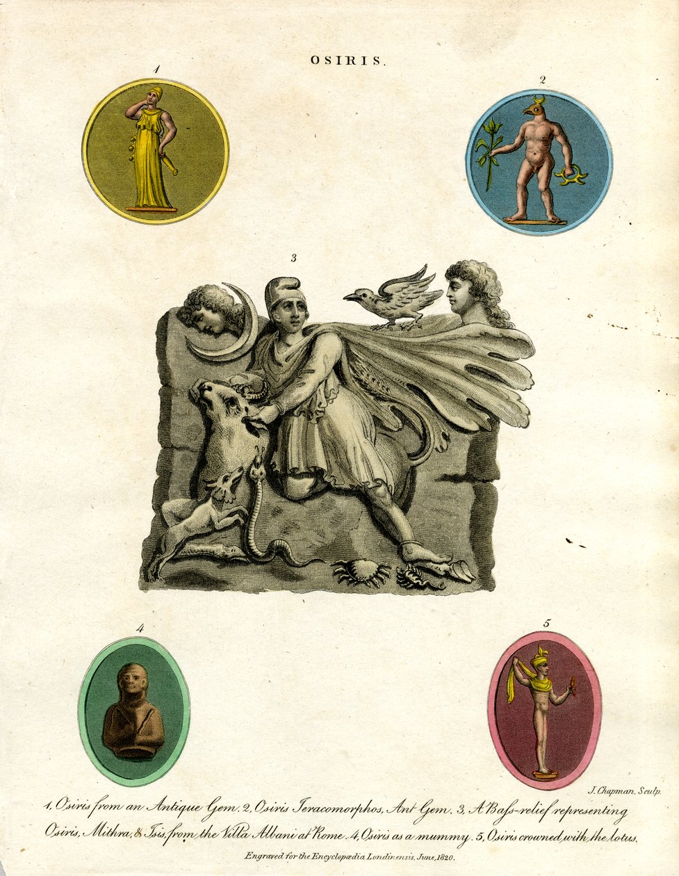  作者 约翰·查普曼