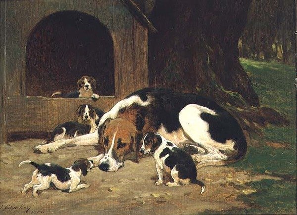 一只猎狐犬和它的幼崽在一起 作者 约翰·查尔顿