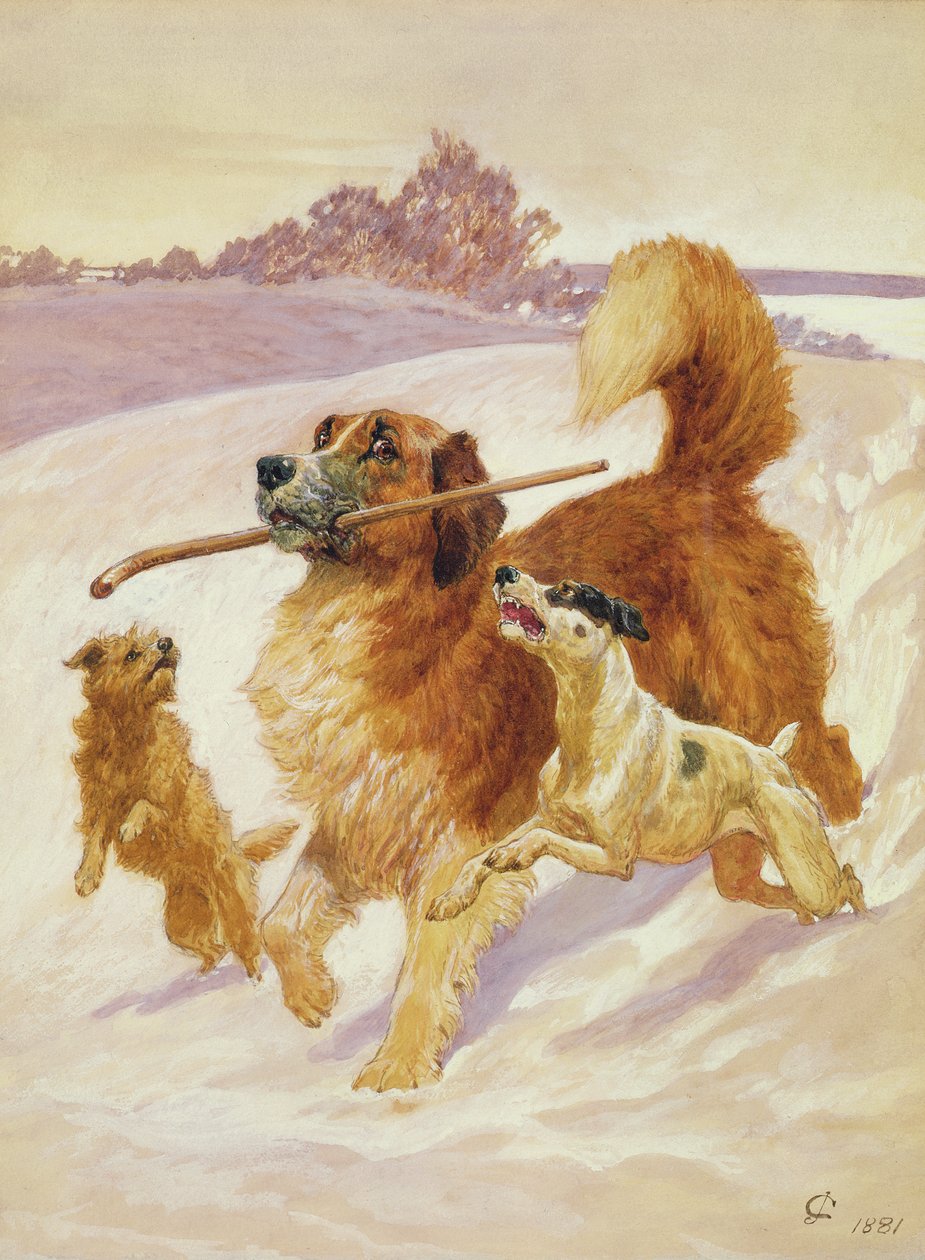 三只狗在雪地里玩，1881年 作者 约翰·查尔顿