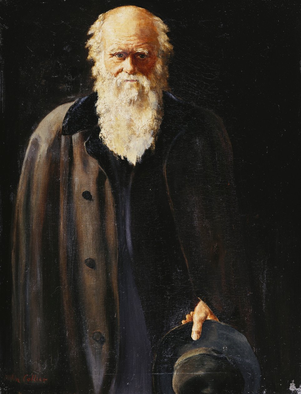 查尔斯·达尔文肖像，站立四分之三，1897年 作者 约翰·科利尔