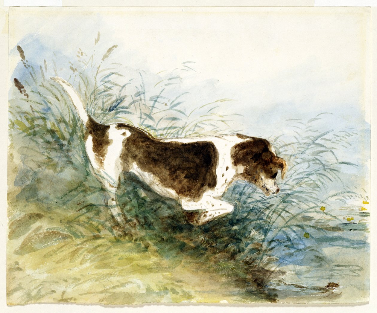 一只狗在水中观看一只老鼠 - 戴德姆，画1831年 作者 约翰·康斯特勃