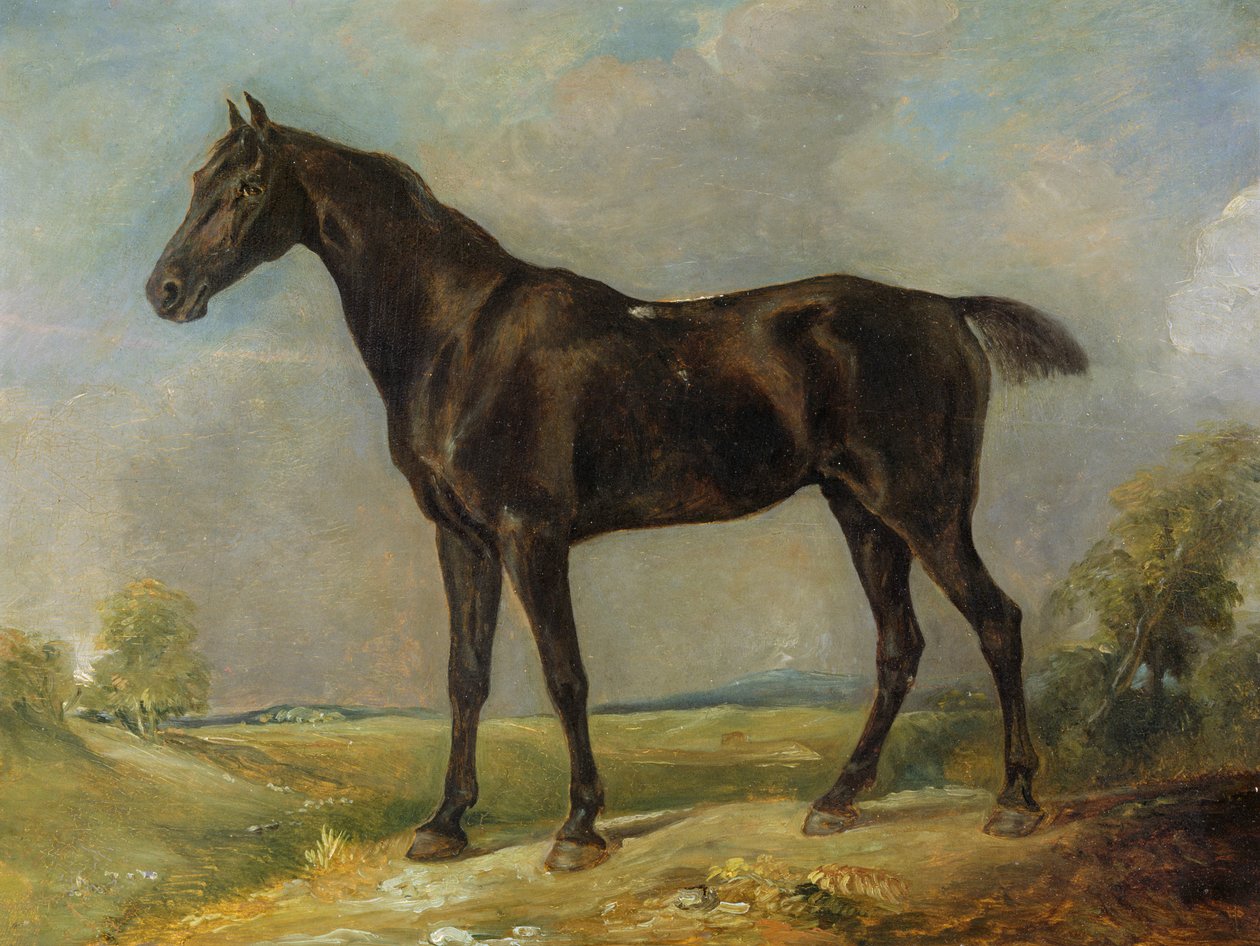Golding Constable的黑骑马，c.1805-10 作者 约翰·康斯特勃