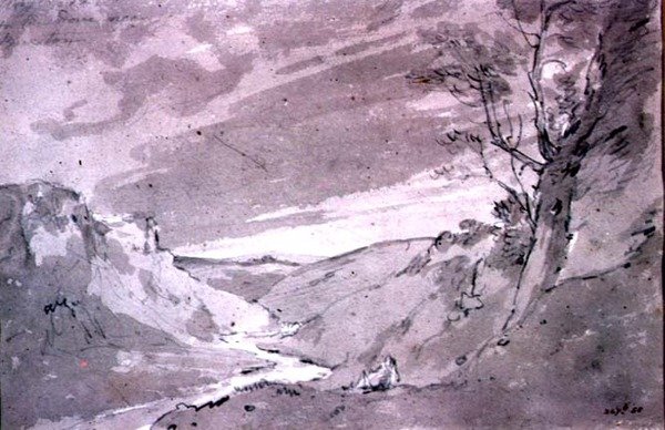 在巴克斯顿附近的鸽子，1801年（铅笔和棕褐色洗） 作者 约翰·康斯特勃