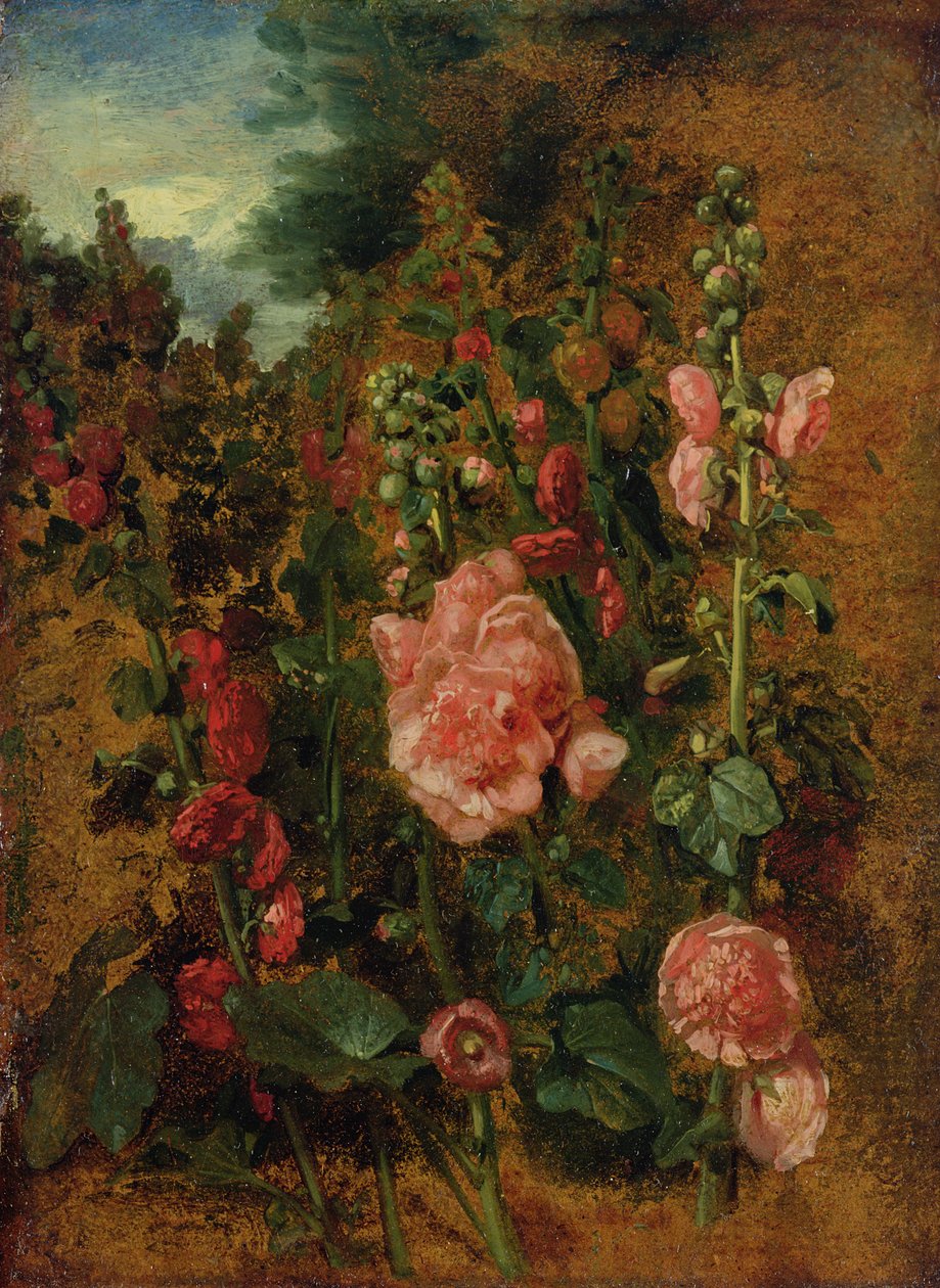 研究蜀葵，c.1826 作者 约翰·康斯特勃