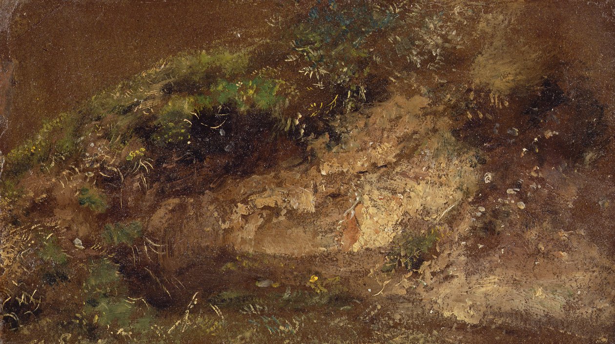 灌木，1821年（船上油纸） 作者 约翰·康斯特勃