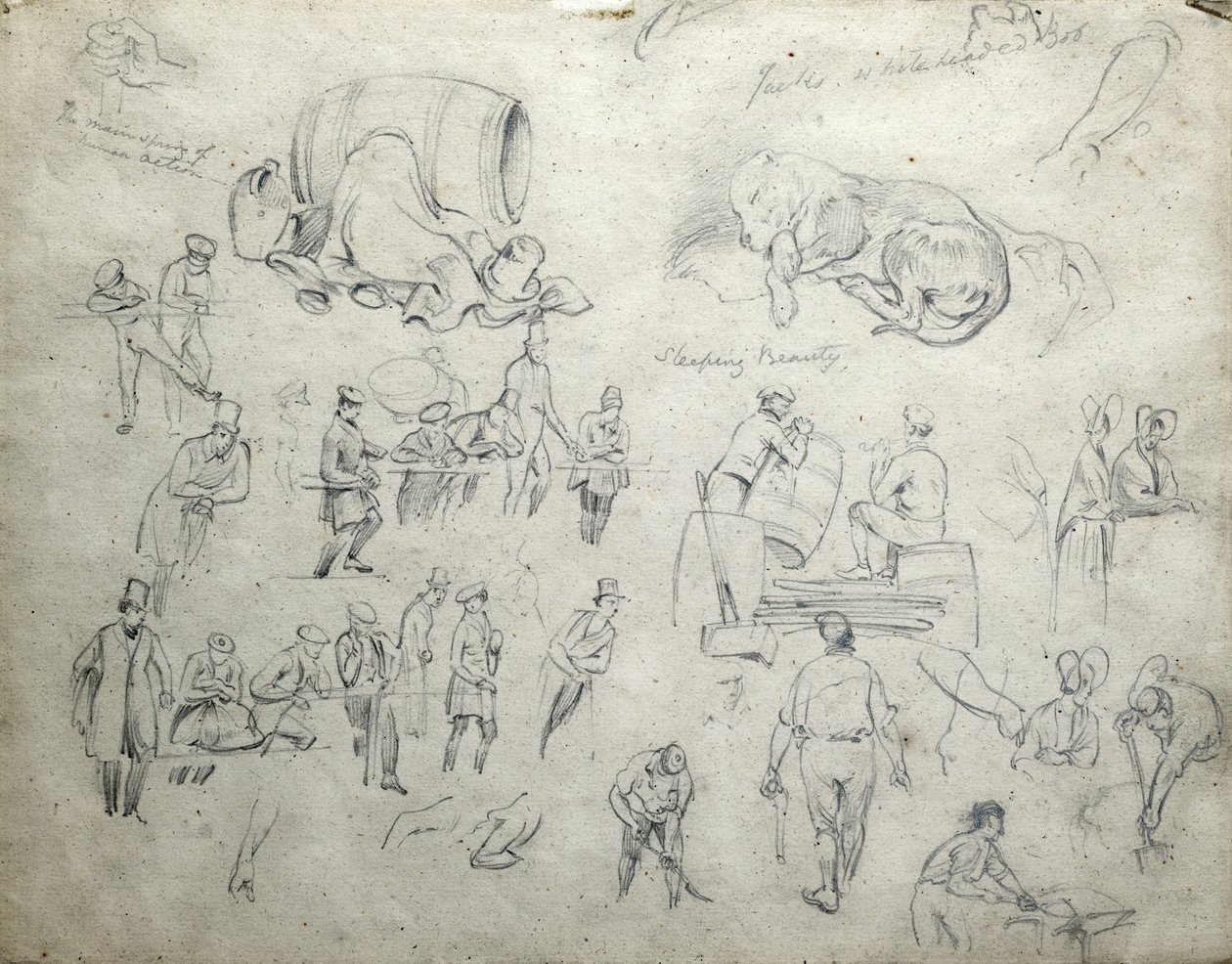 杰克的白发鲍勃，睡美人，c.1835-38（纸上铅笔；合成草图） 作者 约翰·库克·伯恩
