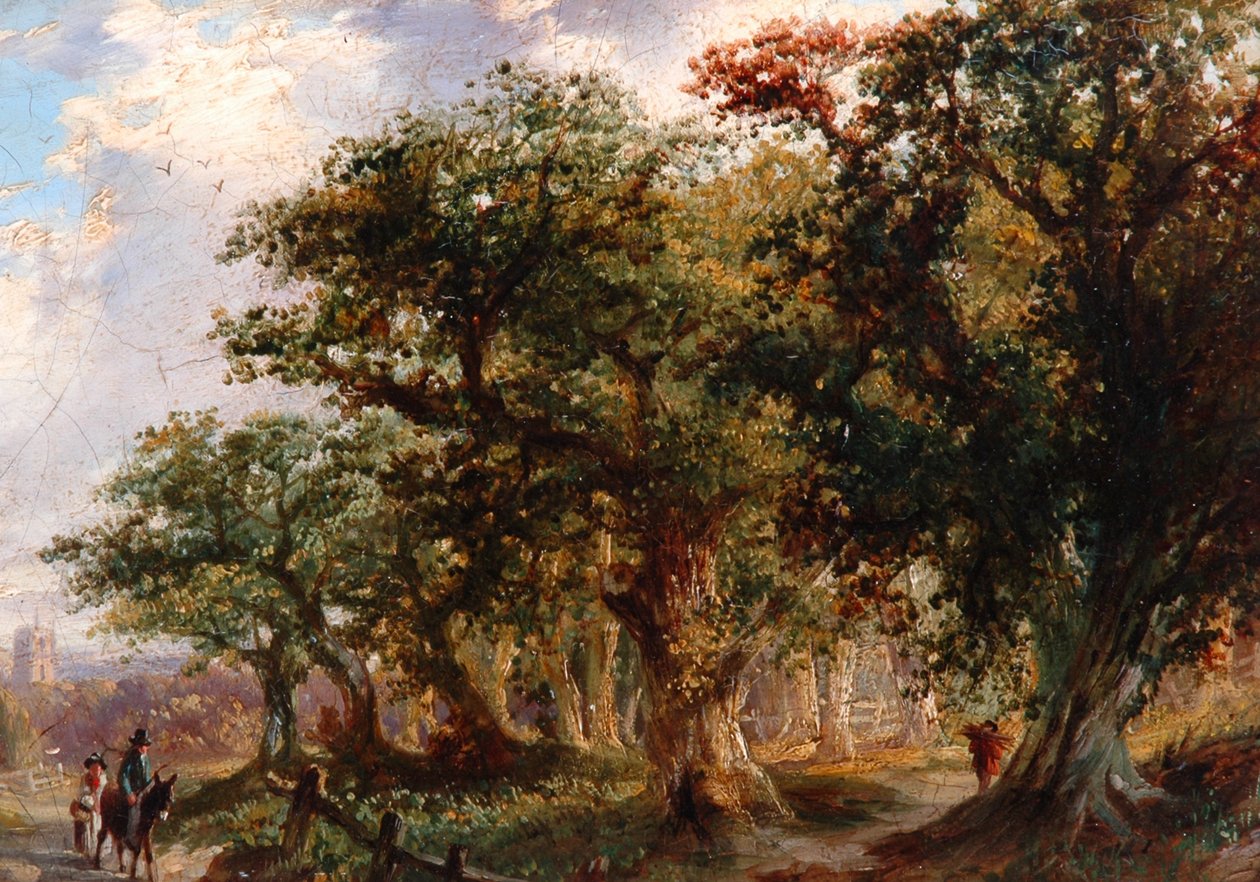 风景，1805-21 作者 约翰·克罗姆
