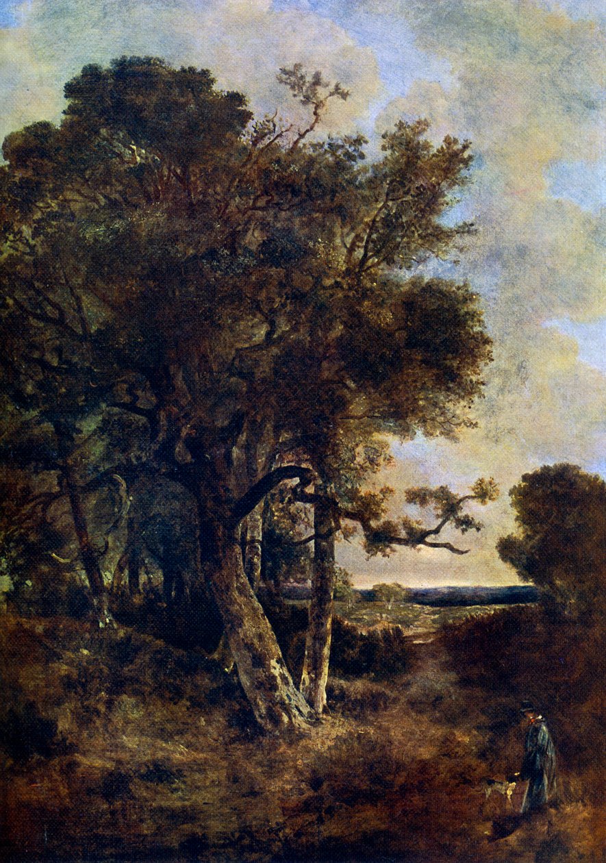 在森林的裙子上，c1788-1821，1912年。 作者 约翰·克罗姆