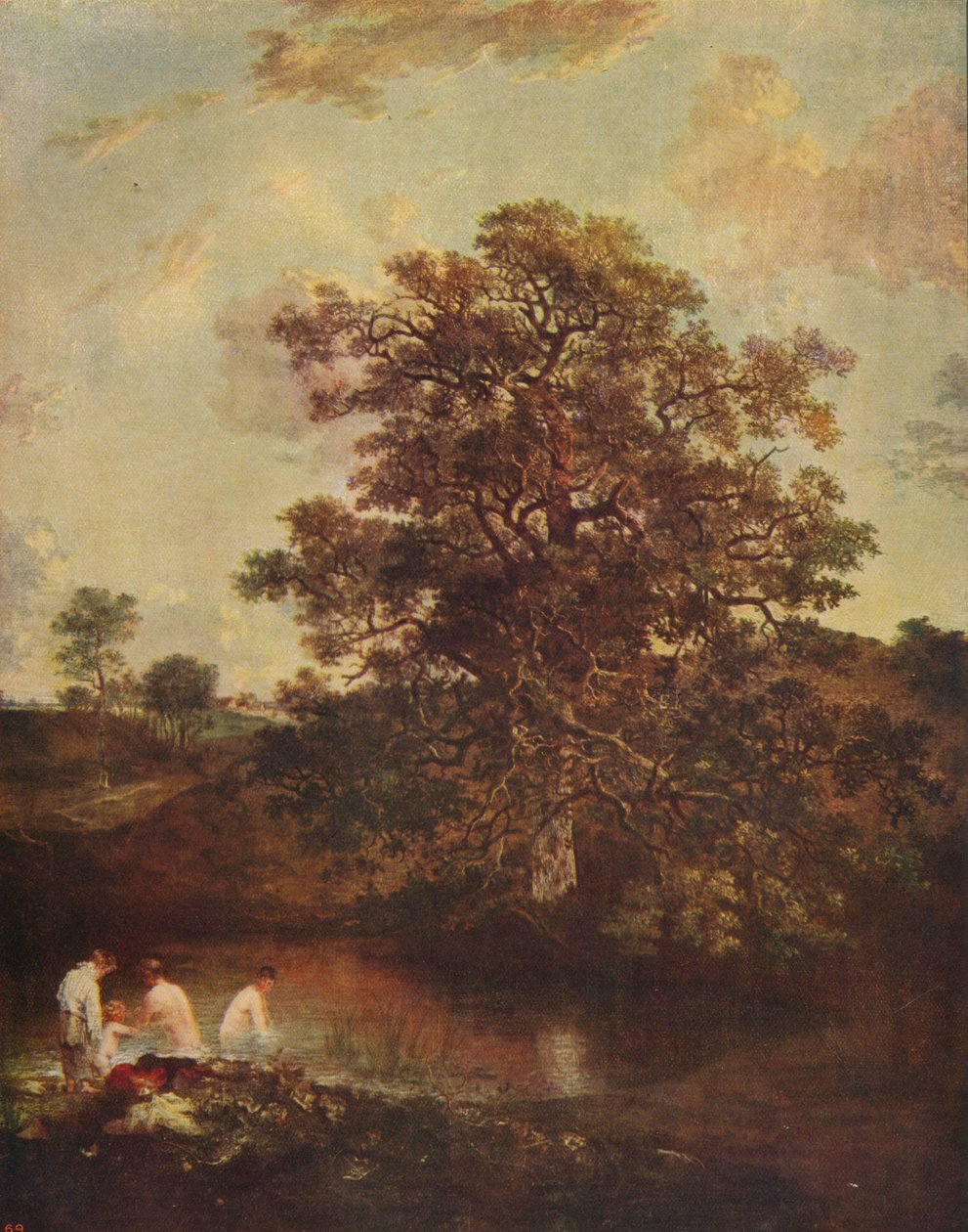 Poringland橡树，c1818-1820，c1915 作者 约翰·克罗姆
