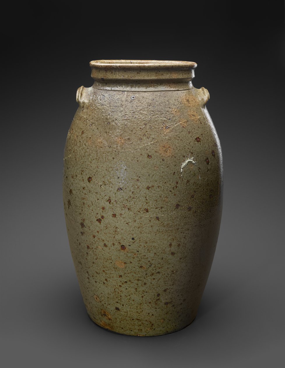流失，C。 1850-1883（碱釉粗陶器） 作者 约翰·戴维斯（attr.to）豹