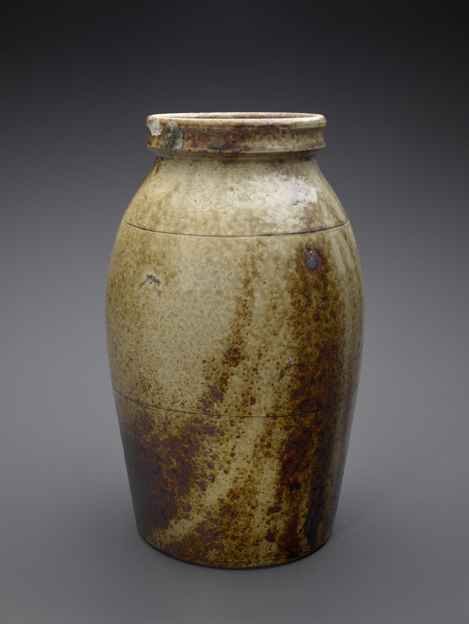 坛子c。 1850-1883年（碱性釉面陶瓷） 作者 约翰·戴维斯（attr.to）豹