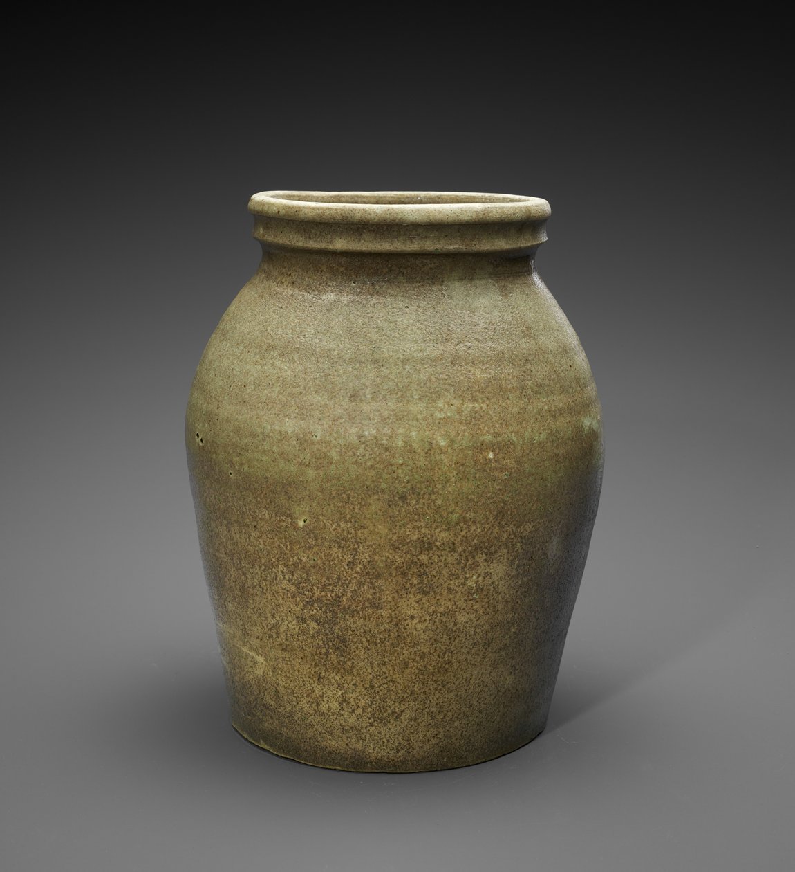 坛子c。 1850-1883年（碱性釉面陶瓷） 作者 约翰·戴维斯（attr.to）豹