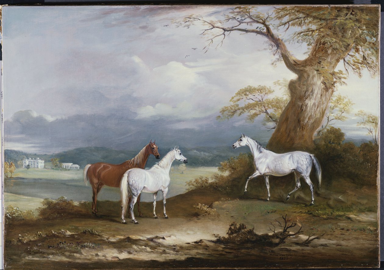 麦克唐纳勋爵（Lord Macdonald）的马匹（Thorpe Hall），约克郡拉德斯顿（Rudston），1836年 作者 约翰·费内利
