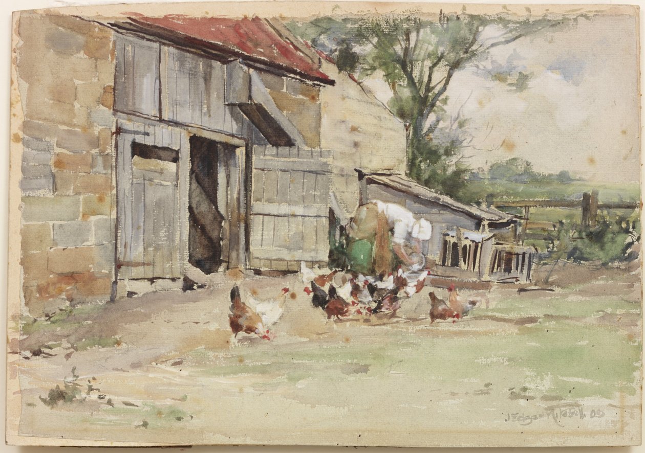 喂养母鸡，1909年（纸上wc） 作者 约翰·埃德加·米切尔
