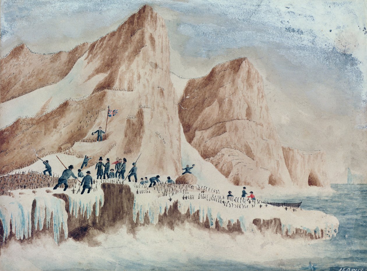 占有岛，维多利亚州，1841年1月11日 作者 约翰·爱德华·戴维斯