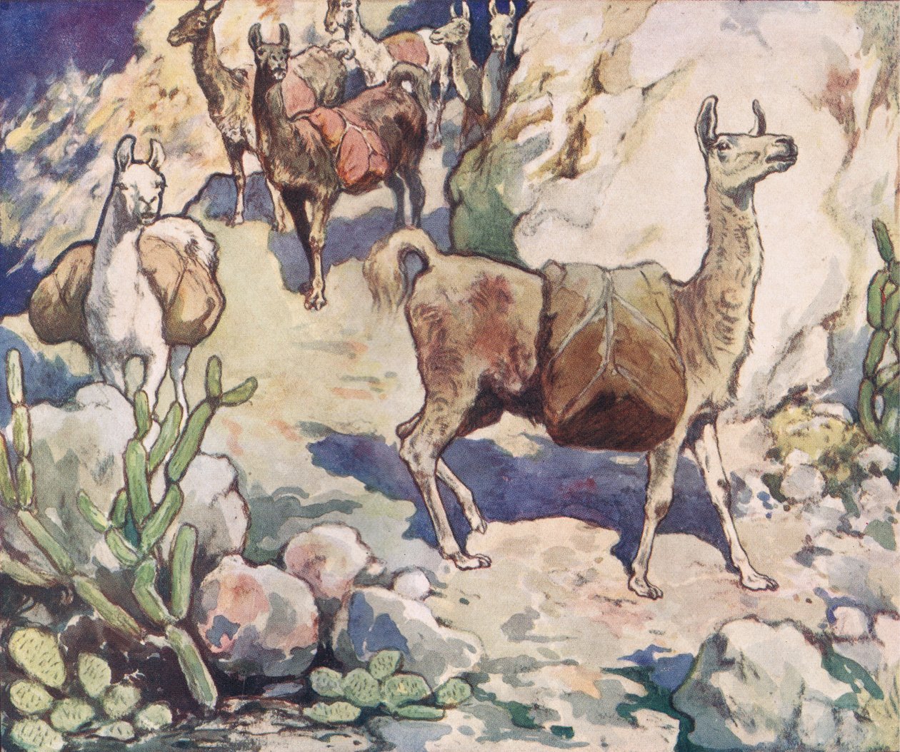 山路上的羊驼，插图选自格拉迪丝-戴维森 1919 年出版的《无助的帮手》（彩色石版印刷）。 作者 约翰·埃德温·诺布尔