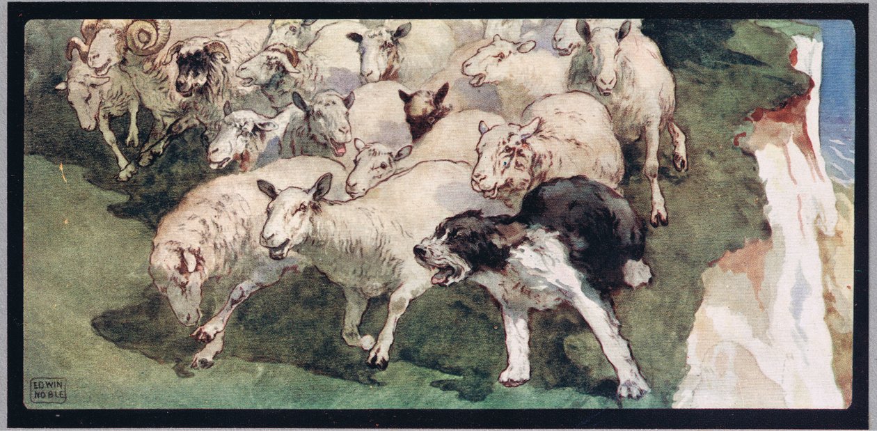 山羊尾巴牧羊犬和悬崖上的羊群，插图选自 Gladys Davidson 所著的《没有手的帮手》，1919 年出版（彩色石版印刷）。 作者 约翰·埃德温·诺布尔